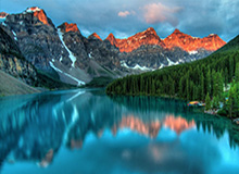 特朗普：没有必要对伊朗采取地面军事行动